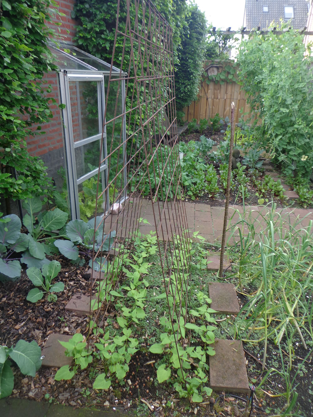 Moestuin
